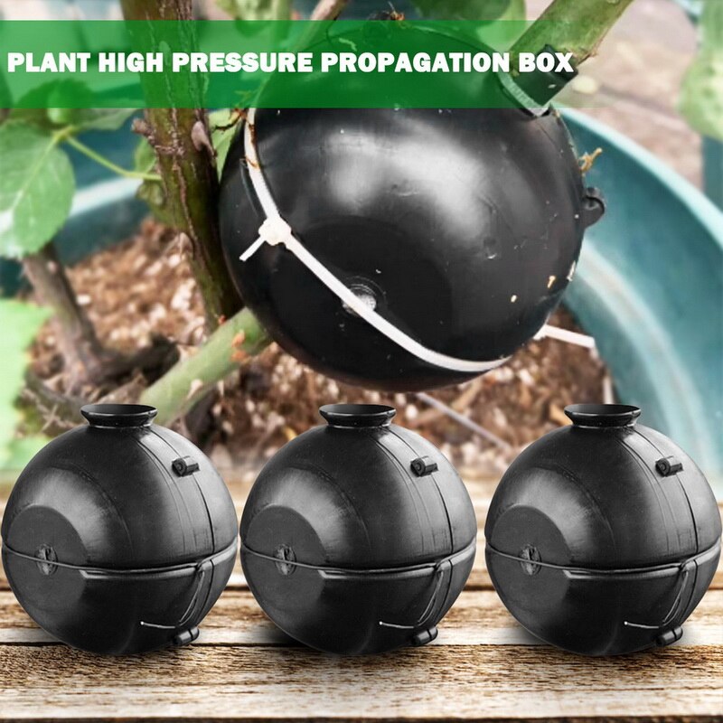 Kit De Bouturage Par Marcottage Aérien – 5 Boîtes D'enracinement WingFly, Tailles S/M/L, Mousse Incluse, Pour Plantes D'intérieur Et D'extérieur