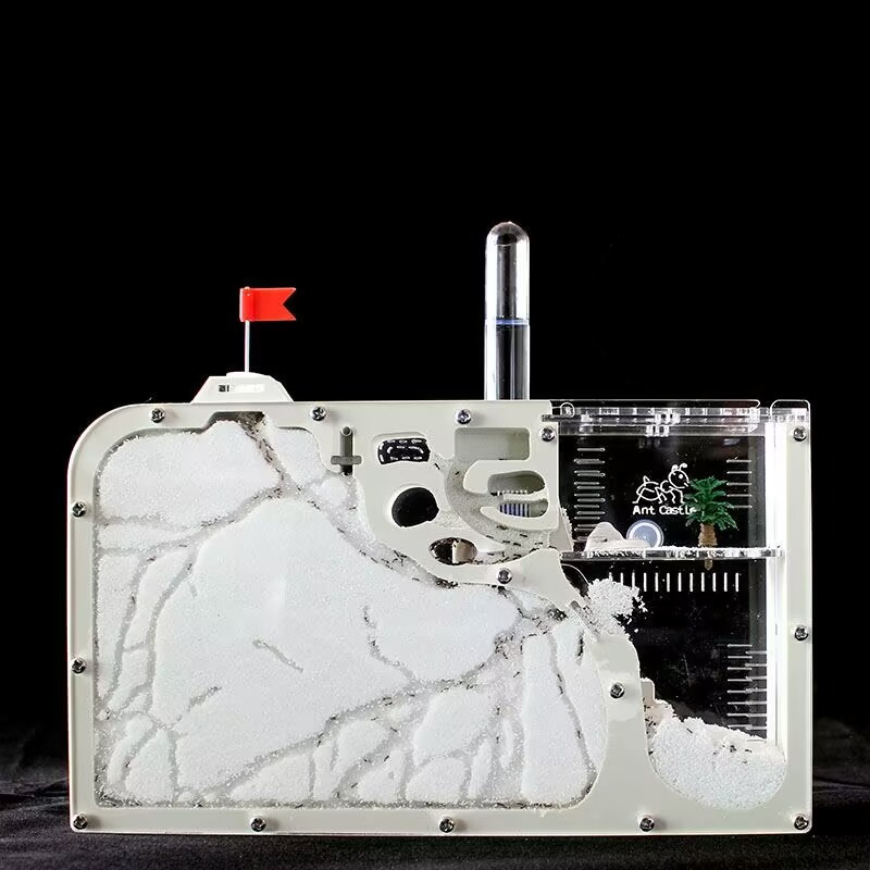 Big Formicarium Ant Nest ,ant Farm Acrylic Insect Ants House Ecological Workshop Reptile Home