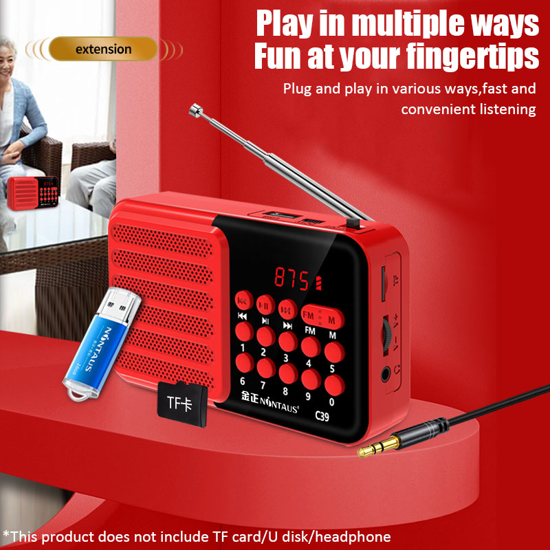 Mini FM Radio tragbare Radios Empfänger Bluetooth Stereo Lautsprecher MP3-Player mit Mikrofon/LCD-Display Unterstützung TF-Karte Kopfhörer spielen