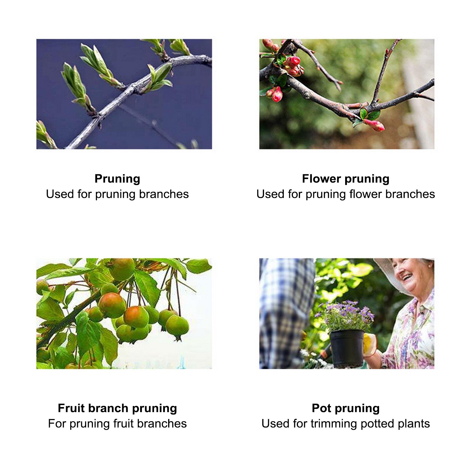 Garden Shears Pruner Secateurs Pruning Scissors Flower Sharp Gardening Hand Florist Bonsai Cutters Mini Small Plant Floral Snips