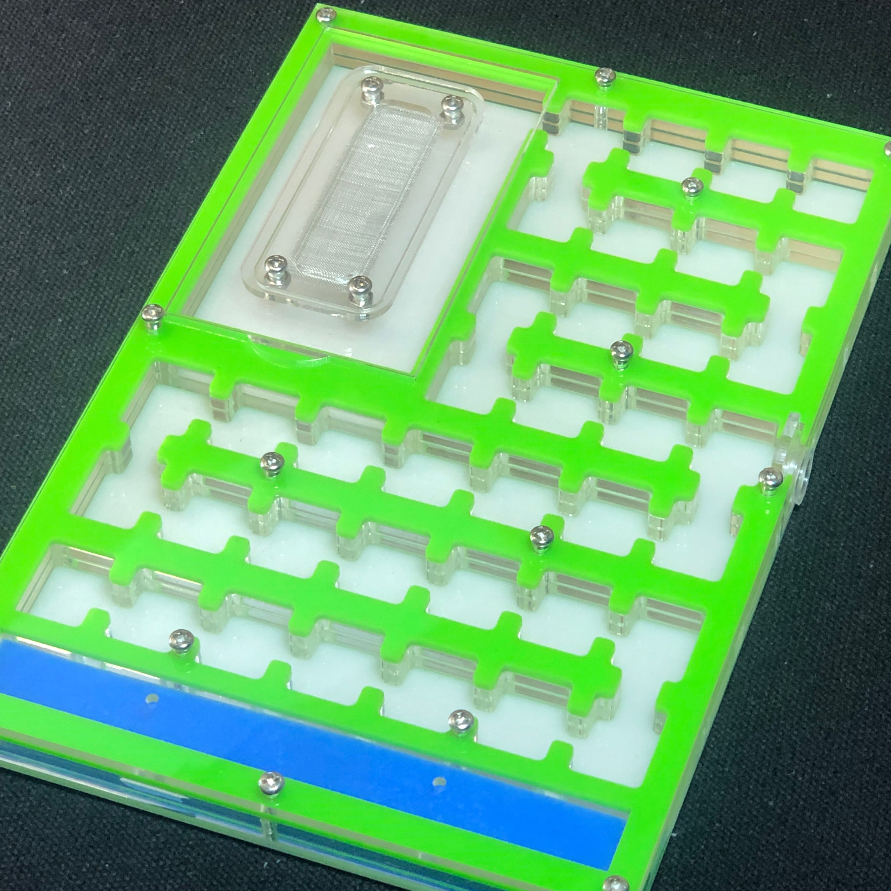 BIG Space Acrylic ant farm maze,Ant Nest with Feeding Area and moisturing zone Ant House for Pet Anthill: GREEN