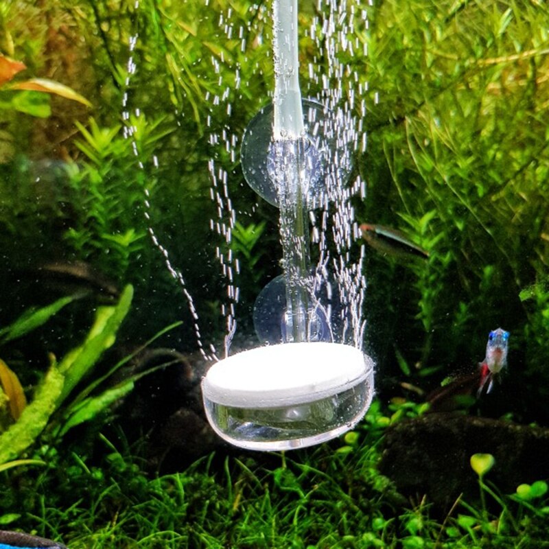 Quiet Tiny Bubbles Oxygen Diffuser Fish Tank Aerator Atomizer Aquarium Air Stone Round Ponds High Dissolved With 2 Suction Cup