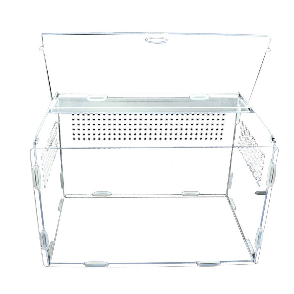 Caixa ornamental de terrário camaleão, para répteis, lagarto, centípede, aranha, caixa transparente, suprimentos para animais de estimação