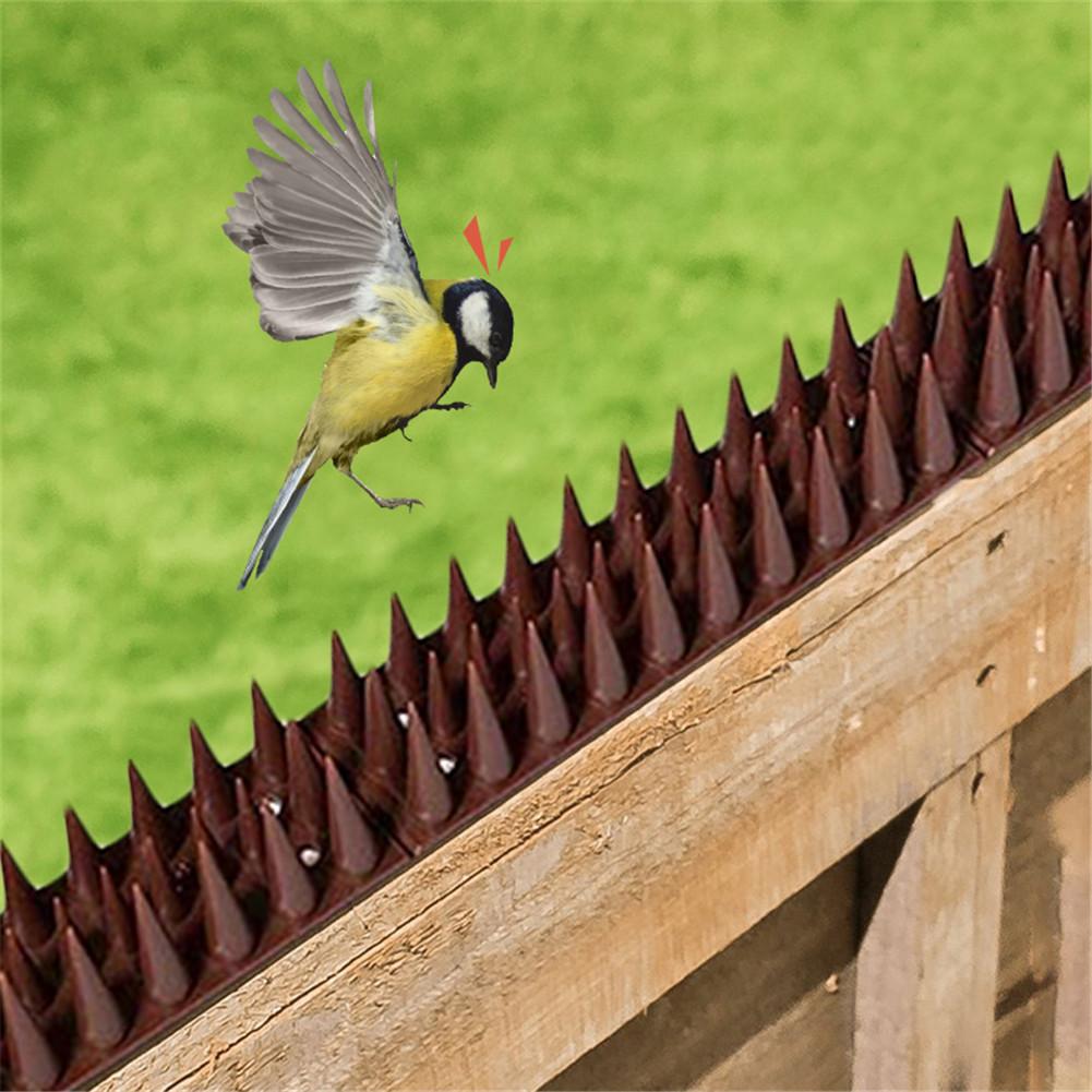 2021New 6/12pcs Plastic Bird and Pigeon Spikes Anti Cat Anti Pigeon Spike for Get Rid of Pigeons and Scare Birds Pest Control