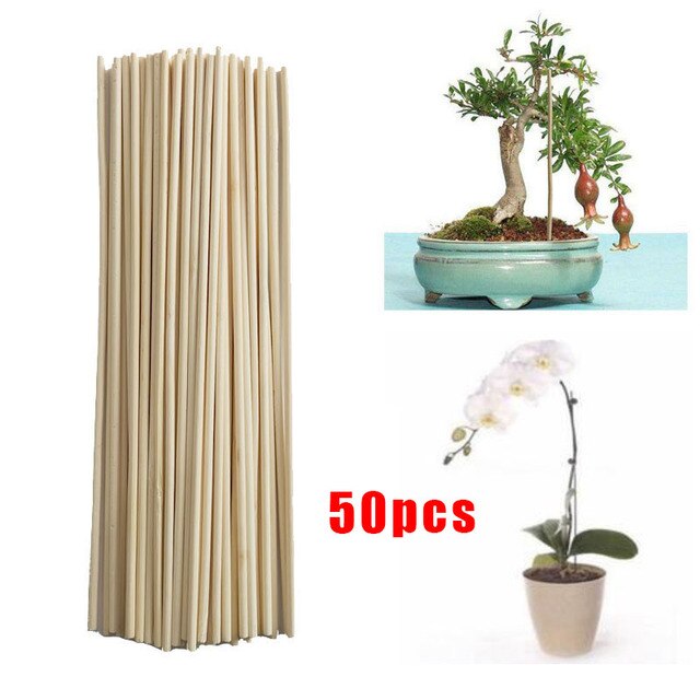 Bastones de bambú para plantas, Estaca de bambú para flores, palos de repuesto profesionales, Clips para plantas, arreglo de flores, suministros de jardín: D-50pcs-20cm