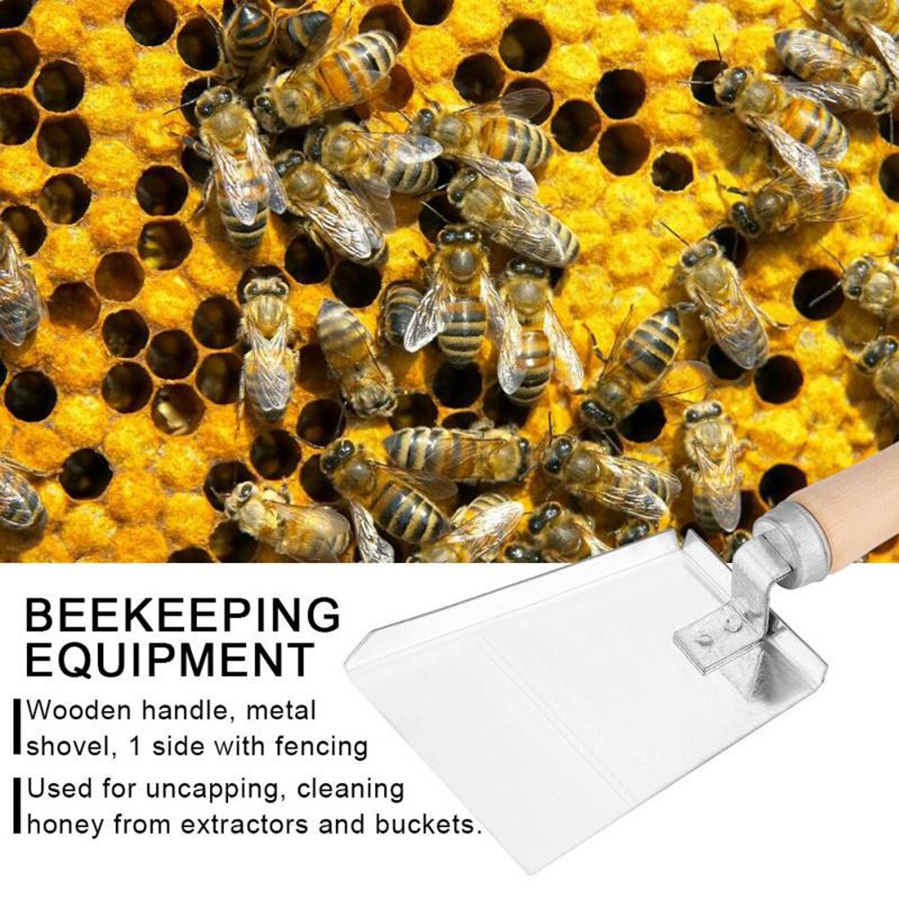 Manche en bois ruche pelle abeille boîte Scoop acier inoxydable miel grattoir nettoyant apiculture propre outil pour apiculture utilisation