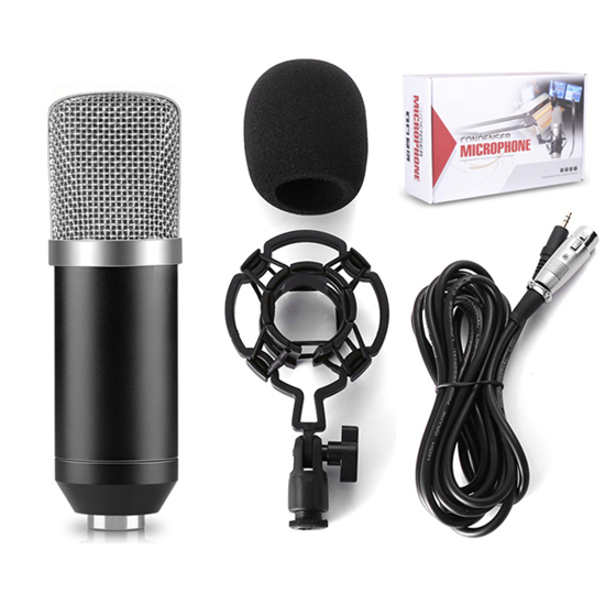 BM 700 Wired Handheld Microphone 3.5mm Condenser With Shock Mount Microphone For Recording Computer Microfono BM700: Silver With Box