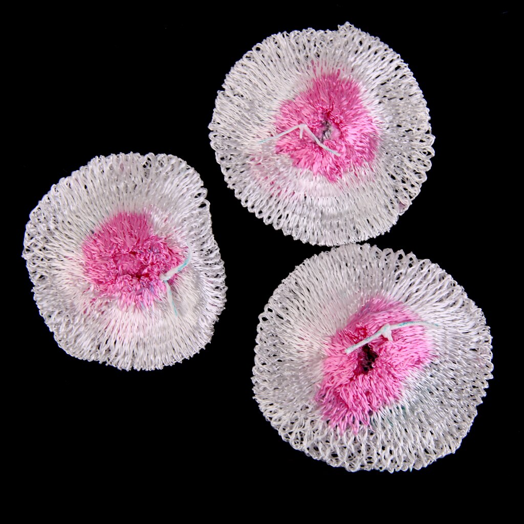 3pcs Universal Camping Gas Lamp Lantern Replacement Mantles