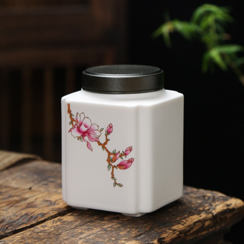 Cenere funebre urna per cremazione umana porta ceneri per animali domestici memoria ricordo ceneri amico urne in ceramica cofanetto per canna gatto uccello urna: Arancione