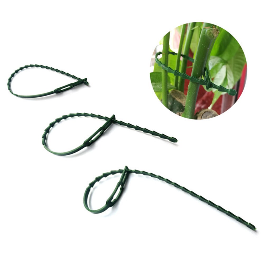 50/30PCS Plastic Plant Cable Ties Reusable Ties Garden Tree Climbing Growing Support Adjustable Fishbone Spur Tie Garden Tools