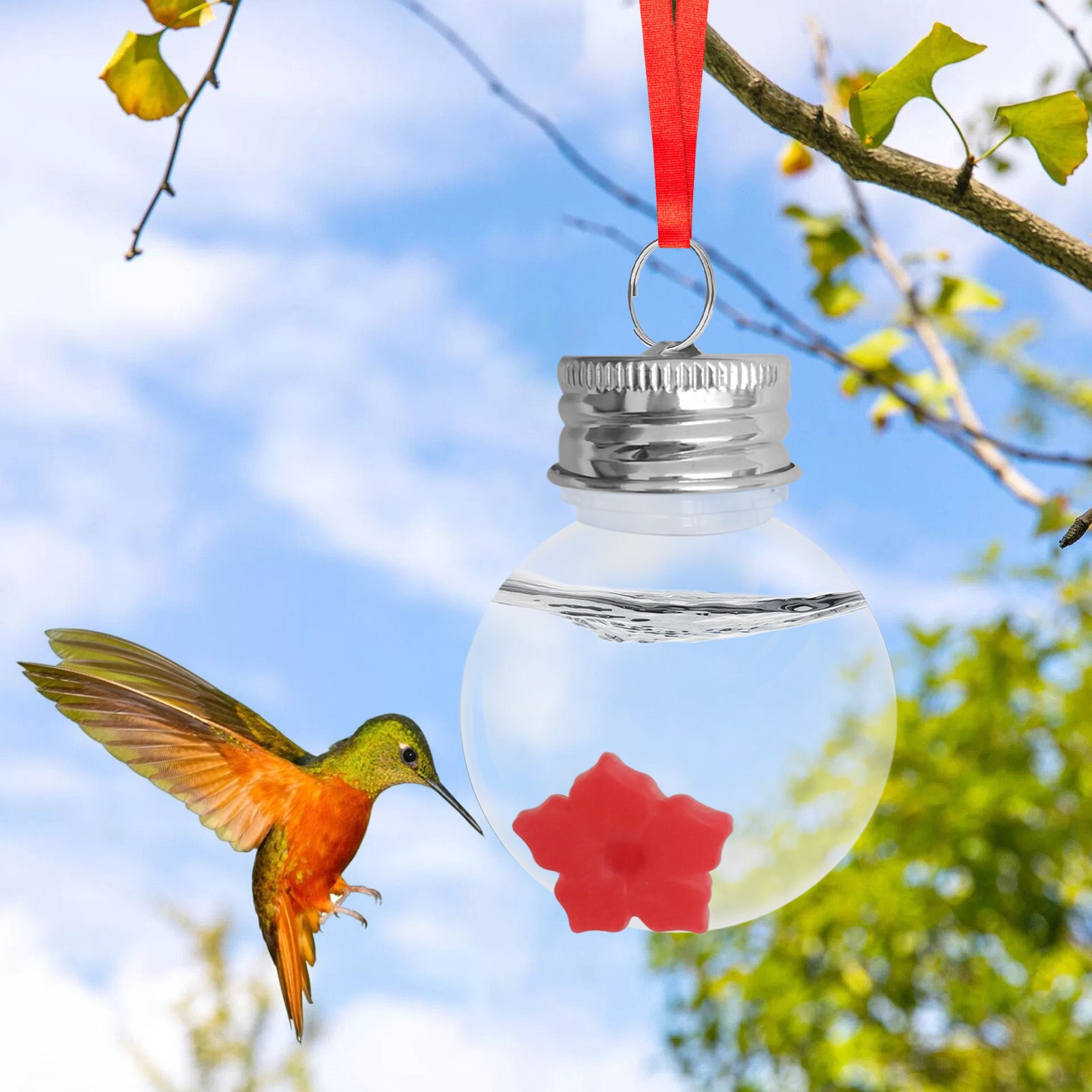 Hummingbird Mini Feeder Hummingbird Water Hangings Feeder Bird Feeders Garden Decor Hummingbird Feeding Tools Mini Feeding Tools