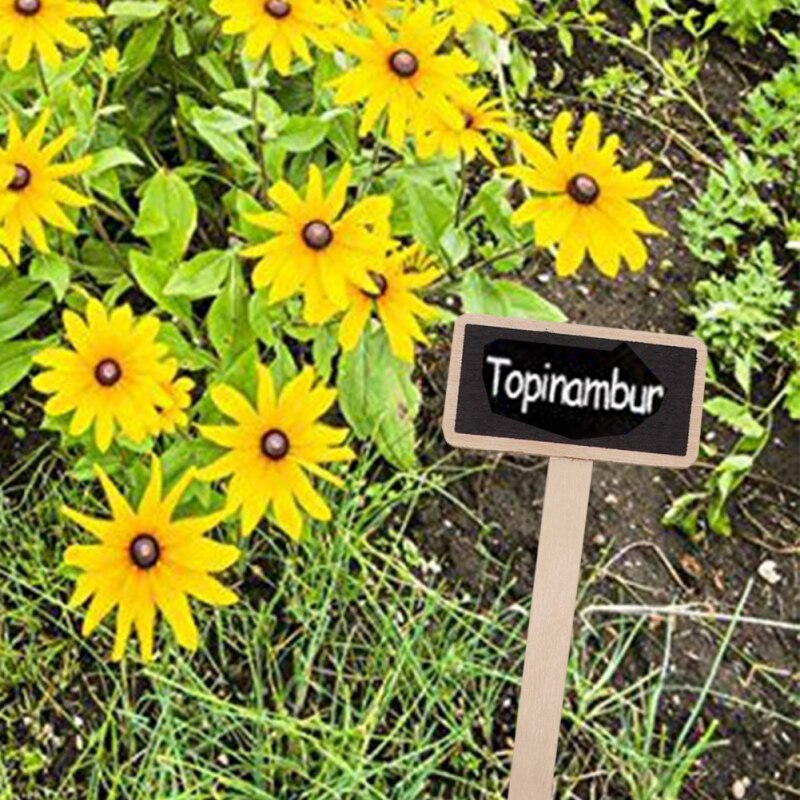 20 stk plante skilt for frø hagearbeid pottebambus pinne bambus plante etikett miljøvern t-formet tre plante skilt
