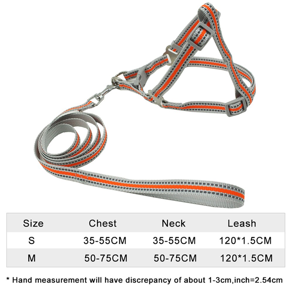 Snapshot of Cat Walking Harness With Durable Nylon Webbing
