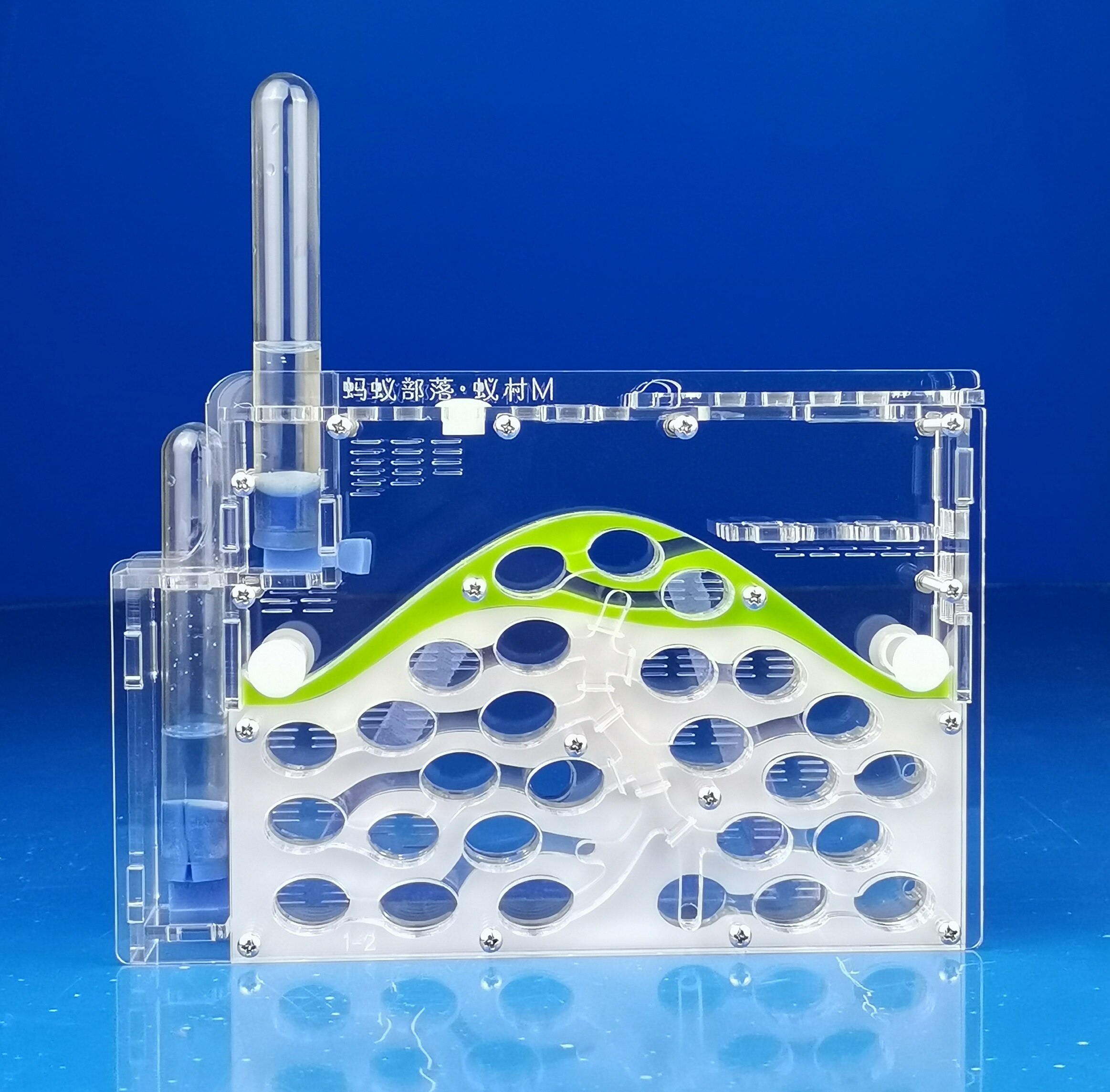 ant hill Transparent Acryl Ant Farm,Natural Ecological Insect Ant House SandCastle Ants Nest, pet mania for house ants