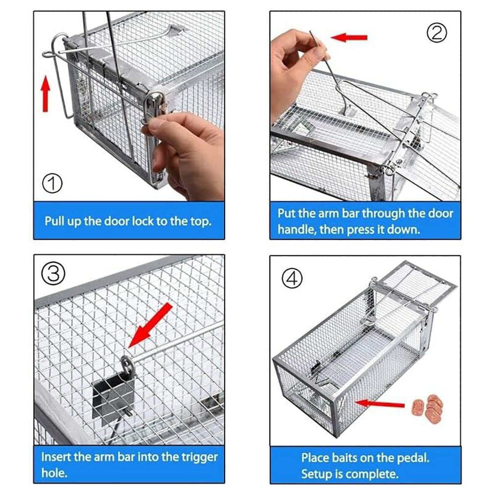 Live Humane Cage Trap for Squirrel Mouse Rat Mice Rodent Animal Catcher for Indoor and Outdoor Small Animal