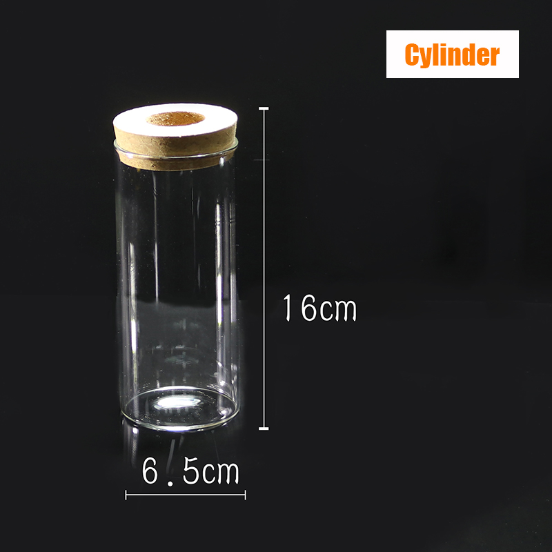 Mini Glass Fish Tank Betta Fish Tank Aquarium Fish Tank Micro Landscape Ecological Bottle Empty Bottle DIY Aquarium Accessories: Cylinder