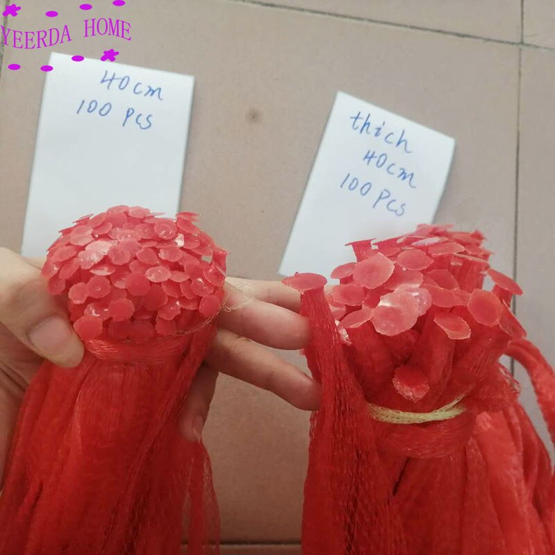 100Pcs Reusable Red Gardening net plastic mesh bags of fruit string watermelon grown bag Fruit growth mesh 4 size