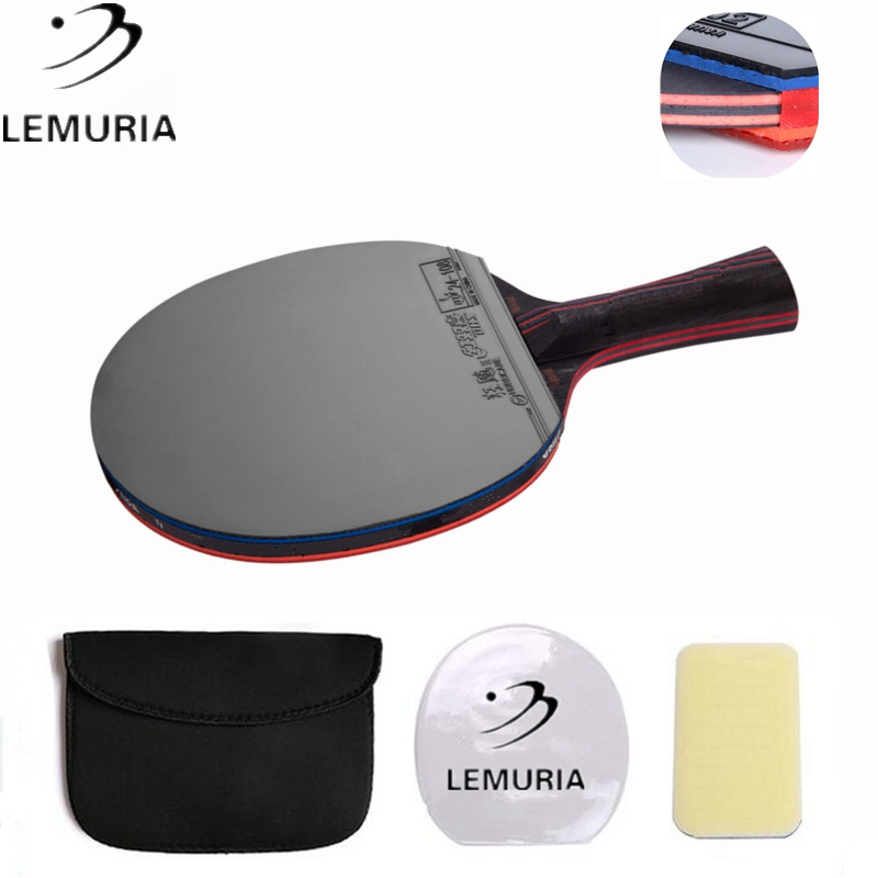 Professionele Hybrid Wood 9.8 Tafeltennis Racket Met Puistjes In Tafeltennis Rubber Fl Handvat Cs Handvat Ping Pong bat