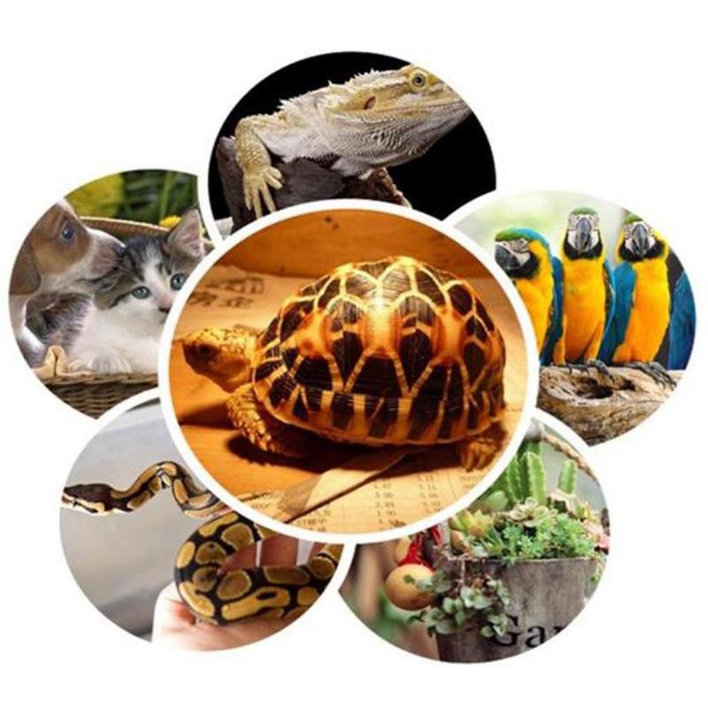 Reptile Heating UVA Lamp Amphibians Tortoise Lizard Terrarium Temperature Controller 25/50/70w Uv Daylight Light Bulb Heater