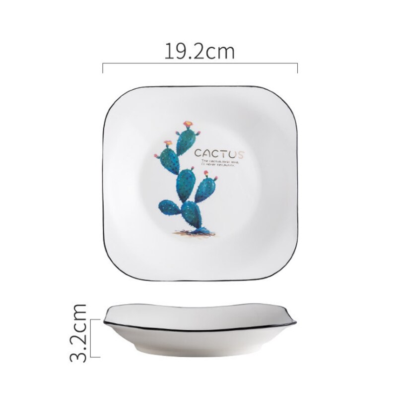 Vierkant porseleinen bord, cactus, dessertbord, broodbord, fruitsaladebord, scandinavisch ontbijtbord, botervloot, keukenservies: Cl