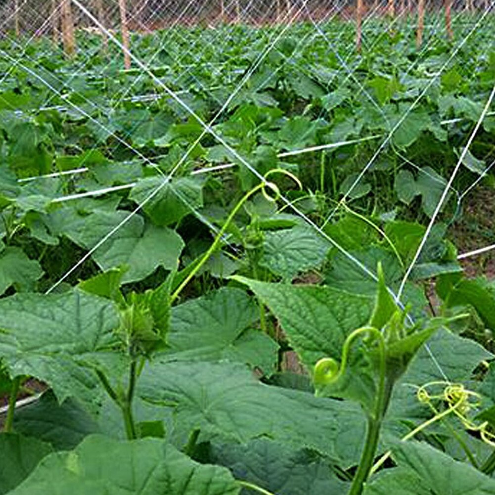 Multi Use Garden Plant Trellis Netting Heavy-Duty Polyester Plant Support Vine Climbing Hydroponics Garden Net Accessories
