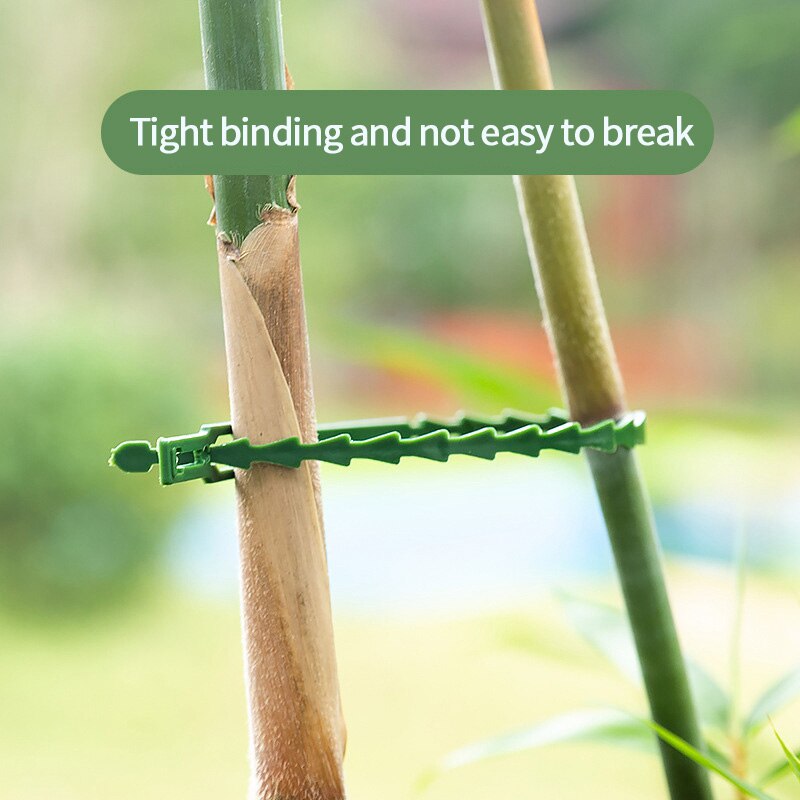 10/20/50/100PCS Self-locking Plastic Tie Adjustable Plastic Plant Cable Tie Reusable Garden Cable Tie Plastic Zip Loop Wire Wrap