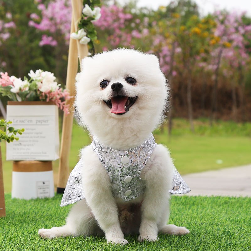 Luxury Sequin Dog Dress Bowknot Wedding Skirts for Dogs Spring Summer Puppy Pet Two-legged Princess Dresses White Girl Ropa Para