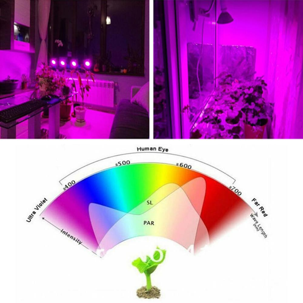 Full spectrum Plant Grow Led Light Bulbs Lamp lighting for Seeds hydro Flower Greenhouse Veg Indoor garden E27 phyto growbox