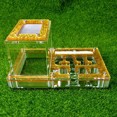 Transparante Mier Behuizing Nest Insect Kooi Boerderijen Feed Acryl Display Trapezium Box Ant Villa Kleine Huisdier Kooien Kid Educatief Speelgoed: gold