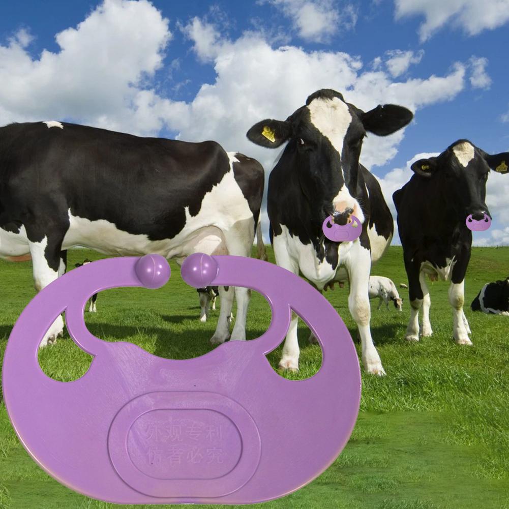 Elastische Veilig Textuur Koe Kalf Weaner Neus Doorn Stevige Kuit Neus Ring Fall-Proof Voor Farm