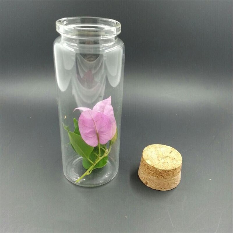 6PC Bottiglia di Vetro Con Tappo In Sughero Vuoto Vasi Trasparenti Fiala 50ml 80ml 100ml 150ml di Liquido Della Caramella vaniglia Pillola di Grado Alimentare di Stoccaggio Vasi Bottiglie