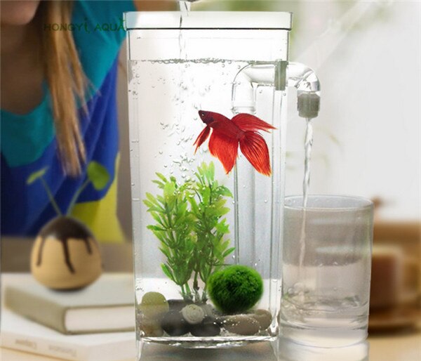Pecera de plástico para perezosos, mini pecera de color dorado, cuadrada, redonda, ecológica, 1 unidad: square fish tank