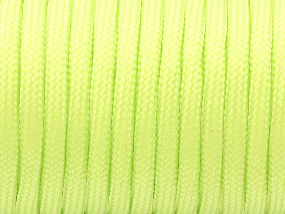 CAMPINGSKY Paracord 550 Parachute Cord Lanyard Tent Rope Guyline Mil Spec Type III 7 Strand 100FT For Hiking Camping: Silver / 20m