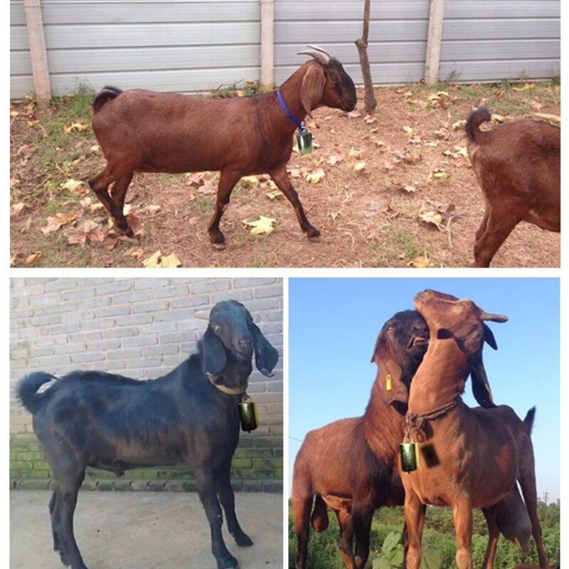 Cow Horse Sheep Grazing Copper Bells Cattle Farm Animal Copper Loud Bells 85WC