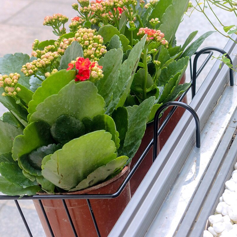 Hængende kurve planter rækværk planter rækværket potter står rækværk planter kurve til altan veranda hegn