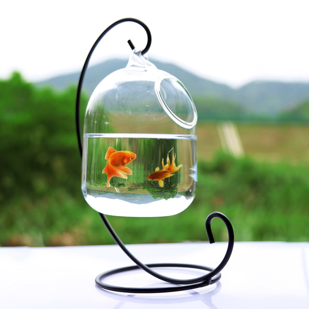 Clear 15cm Height Hanging Glass Aquarium Fish Bowl Fish Tank Flower Plant Vase with 23cm Height White Rack Fishbowls