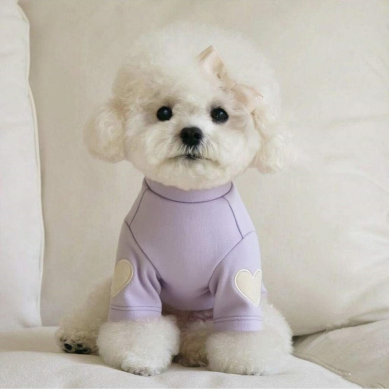 Uwielbiam zimowe ciepłe ubrania dla zwierząt domowych i psów, koszula z nadrukiem, słodki miś z motywem misia, yorkshire, bluza z kapturem, ciepłe ubrania dla kotów i psów: M / Fioletowy