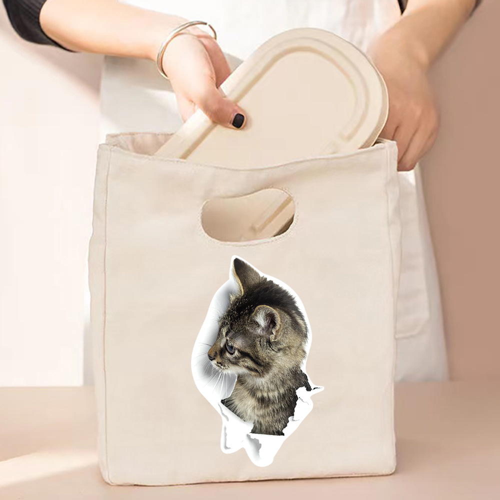 Gecontracteerde Stijl Geïsoleerde Lunch Tas, Duurzaam Bento Pouch, Thermische Lunch Box, Cooler Tassen, kat Print Lunch Container Bag: 5Cat007