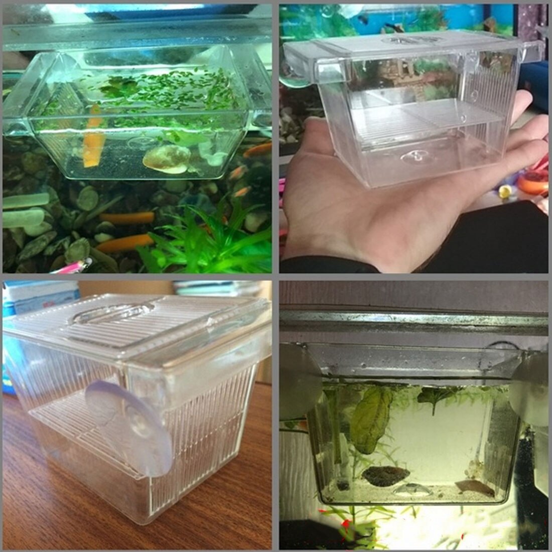 Fish Breeder Box Breeding Hatchery House Baby Fish Aquarium Hatchery Incubator Holder Isolation Net Fish Tank Incubator Box