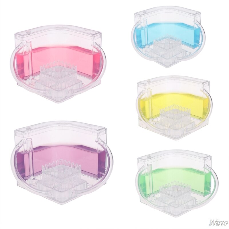 3D Ant Farm Educational Maze Live Feeding System Ants Habitat World Pet Villa