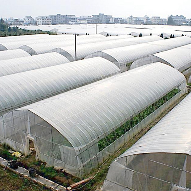 Film plastique pour serre agricole 1m 0.16mm | Film couvrant de protection pour légumes et jardin, Film agricole