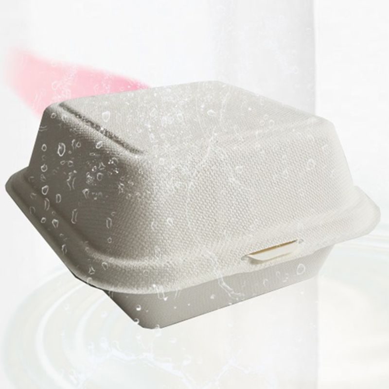 50 Teile/beutel Biologisch Abbaubar Einweg Takeout Lebensmittel Container Leck Beweis Kuchen Hamburger Halfter Kasten für Gaststätten