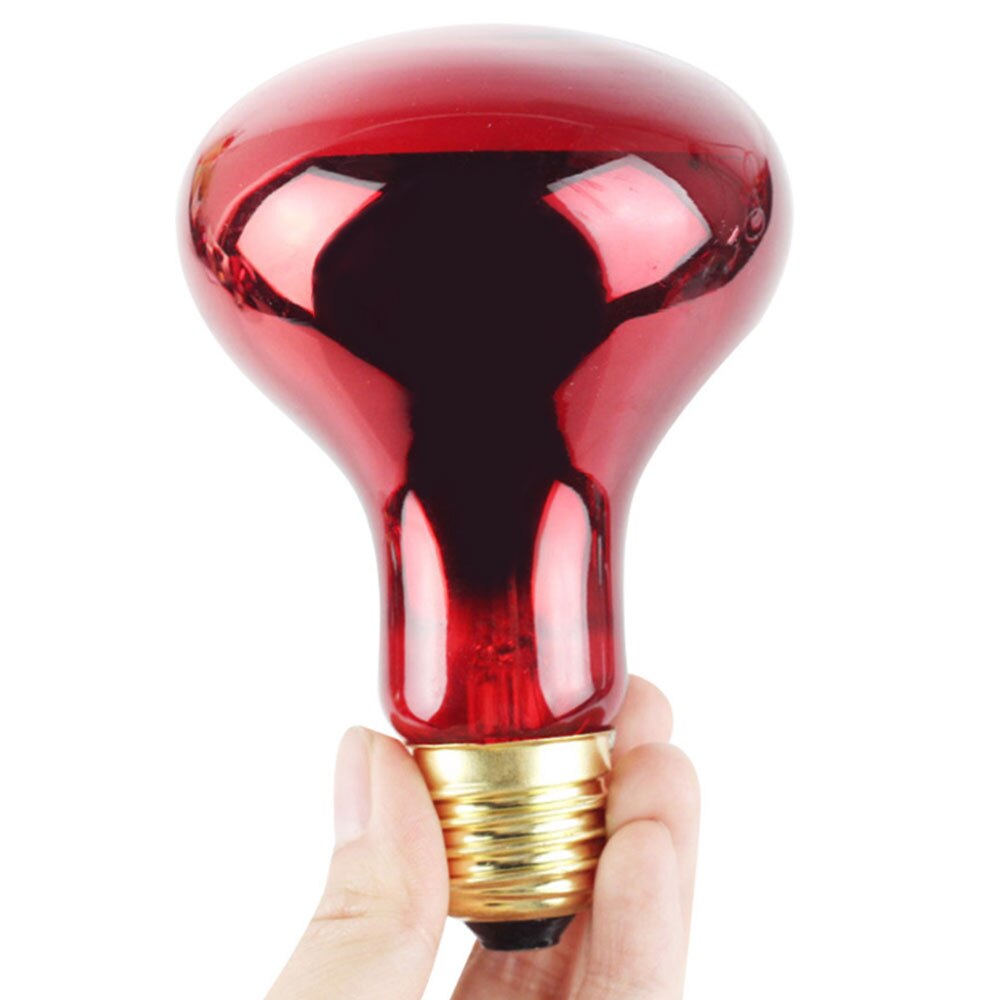 E27 100W Infrarot Aalen Stelle Wärme Lampe verrotten Licht Wärme Lampen für Haustier Eidechsen Schlangen Reptilien