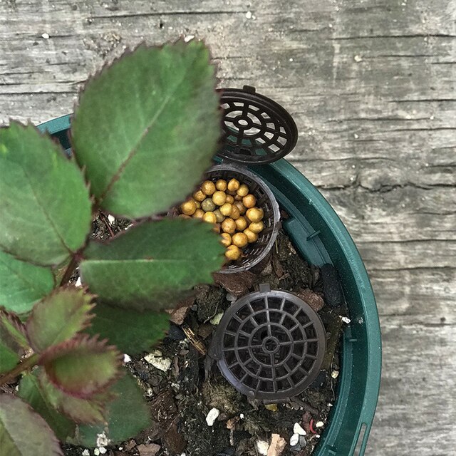 Organic Fertilizer Box Outdoor Gardening Tool Bonsai Orchids Basket Flower: large