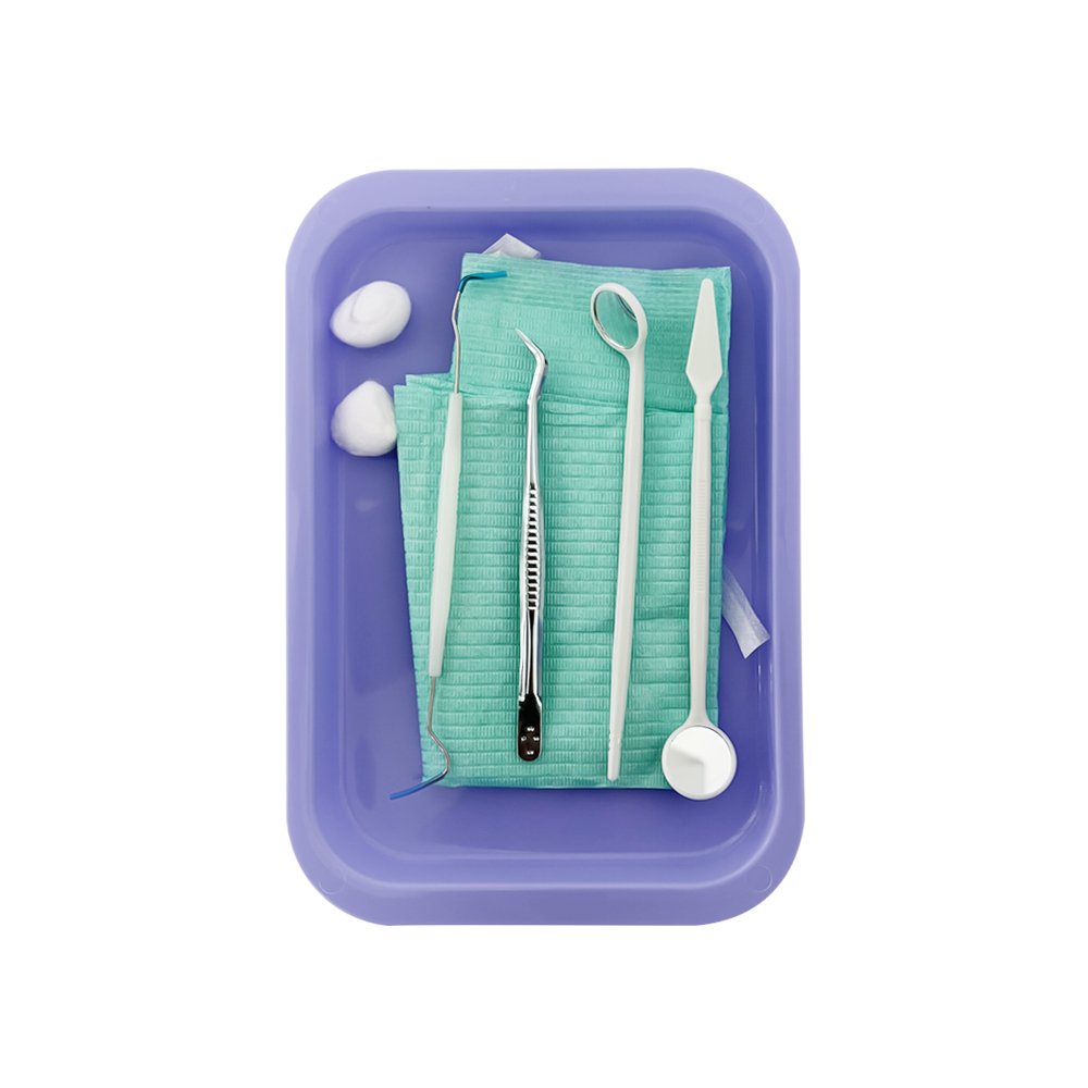 Bandeja de instrumentos de odontología esterilizable, paletas de plástico esterilizables en Autoclave, herramientas de dentista, bandejas planas, accesorios consumibles, 1 Uds.