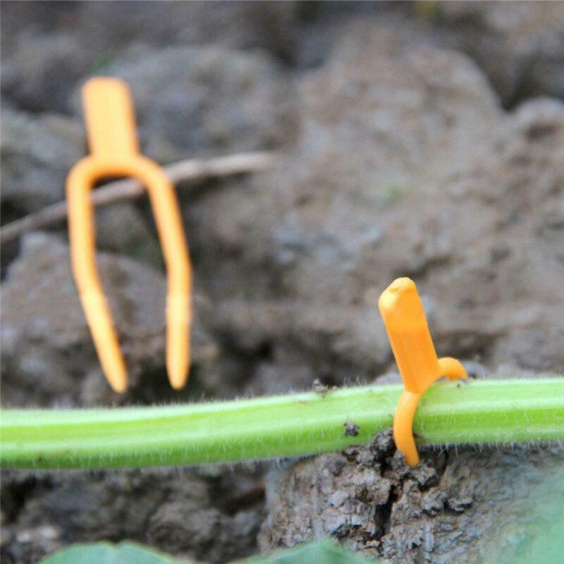 Anillos de fijación para plantas huerto de tomate para enrejado, herramienta para invernadero, 50 uds, suministros de jardín, jaulas para plantas, soportes nuevos: A