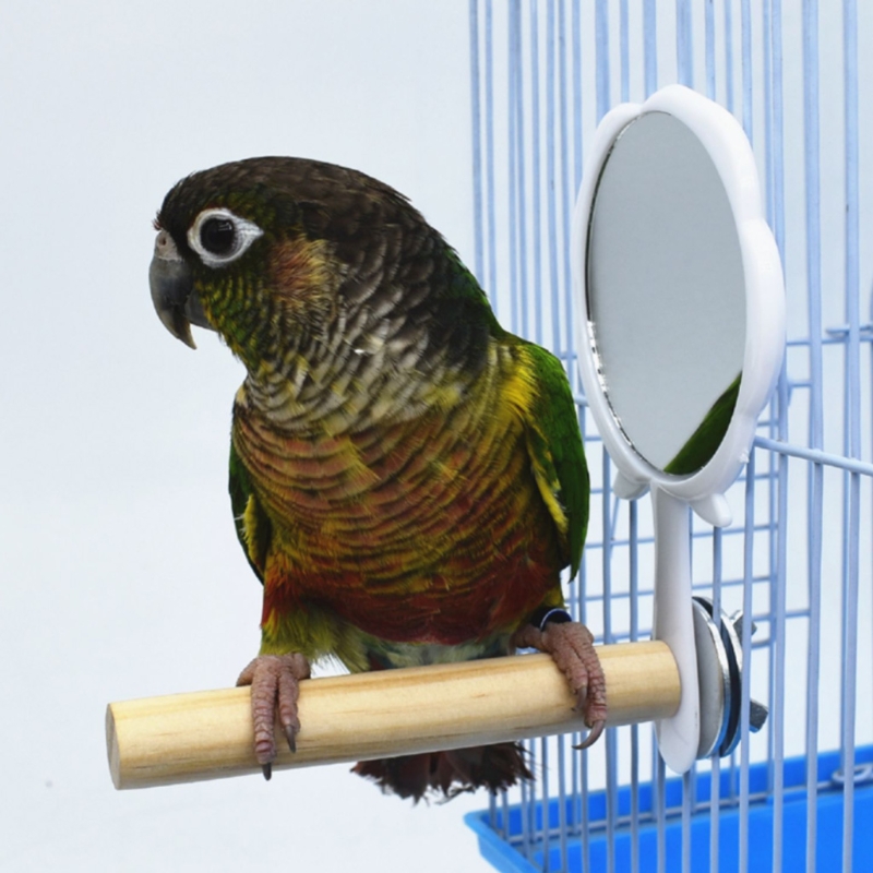 Parrot Perch Triangle Frosted Hen Stand Wood Table Top Play Toy for Hens Handmade Swing Bird for Large Bird With Mirror