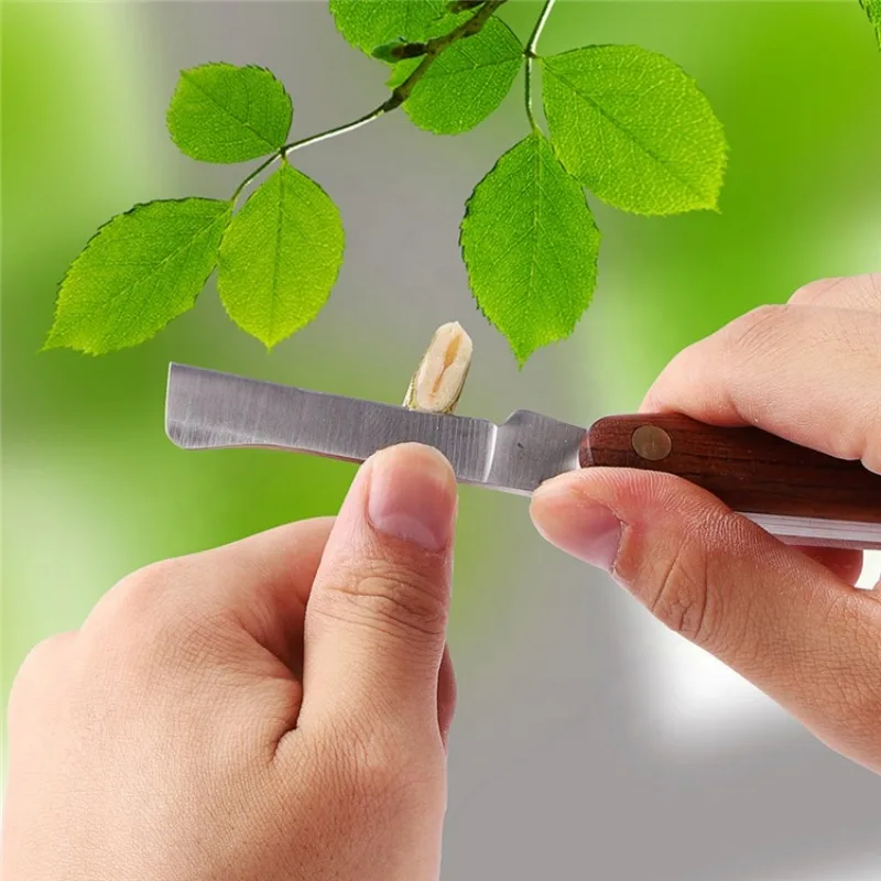 Grafting Tools Foldable Grafting Pruning Knife Garden Grafting Cutter Stainless Steel Wooden Handle Knife