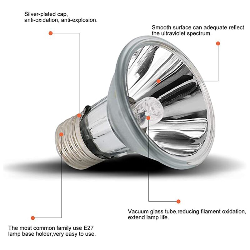 BENE – lampe solaire à spectre complet UVA + UVB, ampoule halogène Spot pour couveuse, tortue, lézard, amphibie Dragon barbu, Terrarium
