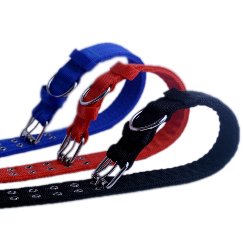 Lona verde del ejército perro Collar, hebilla de doble hilera fuerte Collar ajustable para mascota medio perros grandes